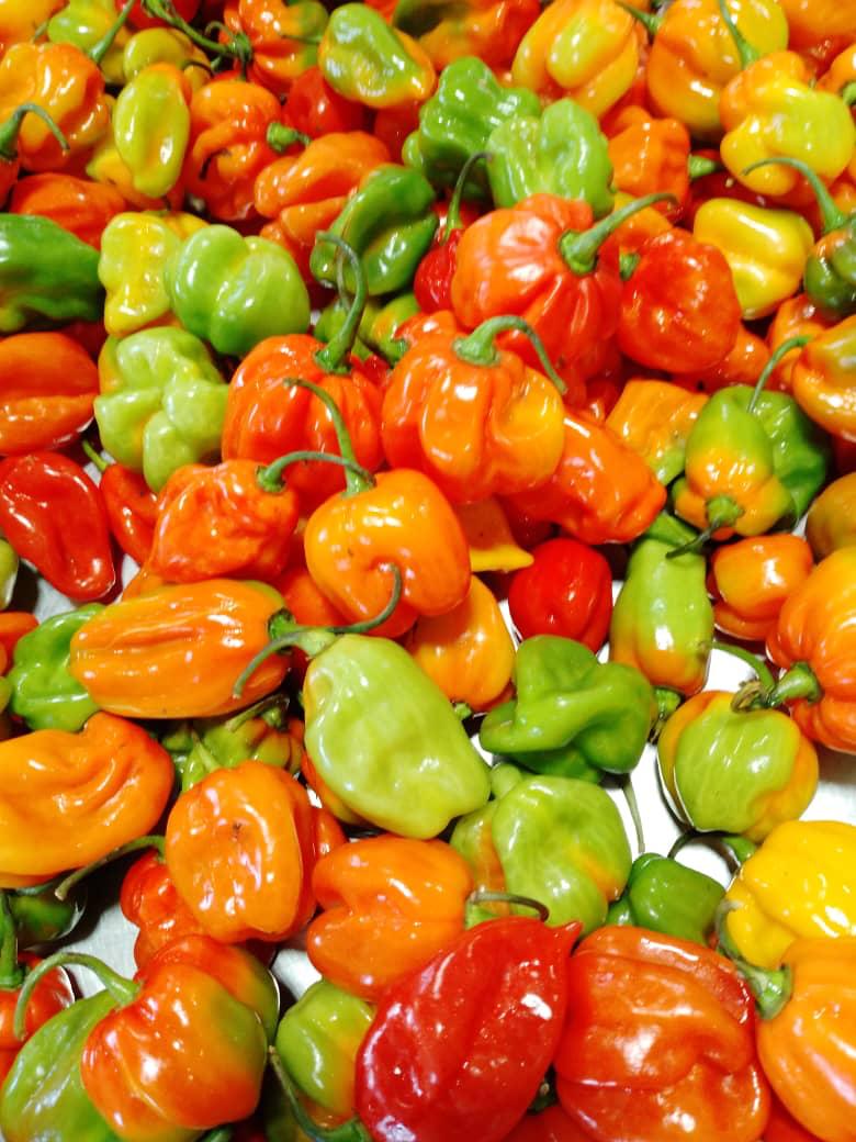 Habaneros