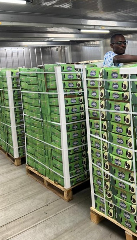 Expansion into UAE with premium chilies