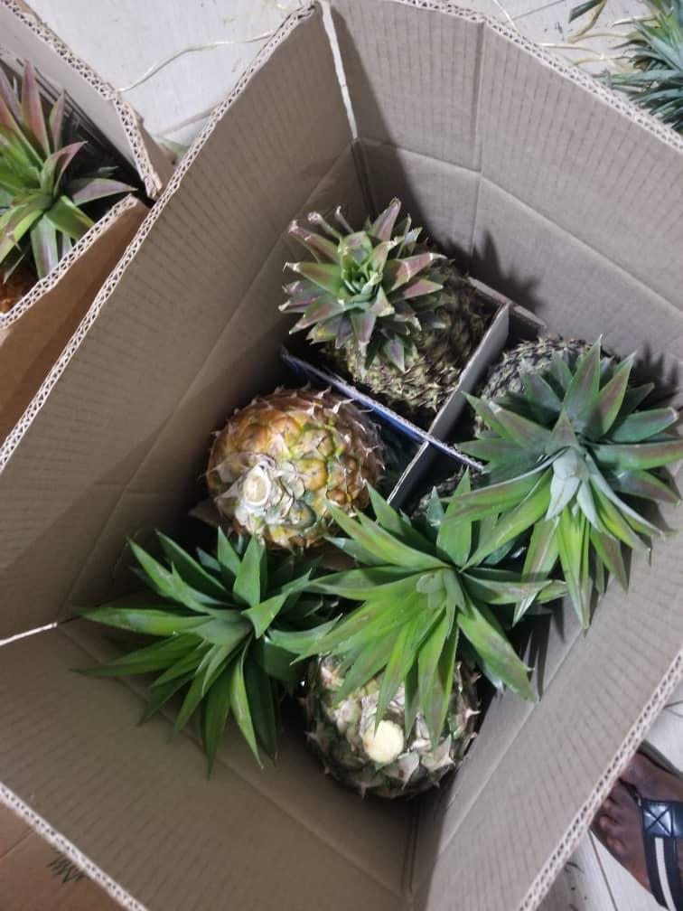packed-pineapple