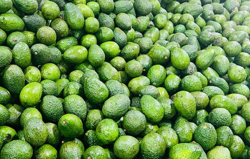 Farm to packhouse transportation